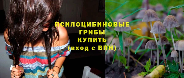 не бодяженный Арсеньев