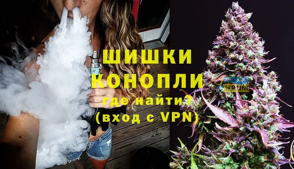 ГАЛЛЮЦИНОГЕННЫЕ ГРИБЫ Аркадак