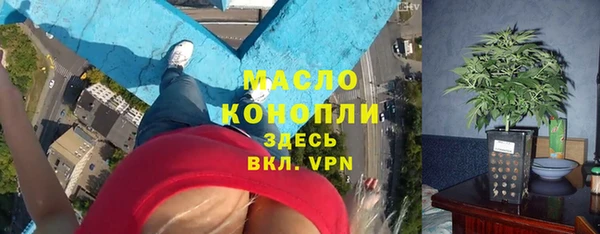 ГАЛЛЮЦИНОГЕННЫЕ ГРИБЫ Аркадак