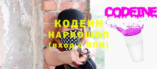 ГАЛЛЮЦИНОГЕННЫЕ ГРИБЫ Аркадак